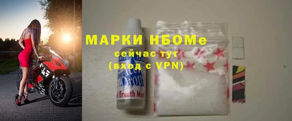 хмурый Алзамай