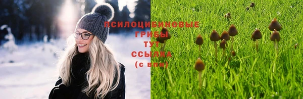 хмурый Алзамай